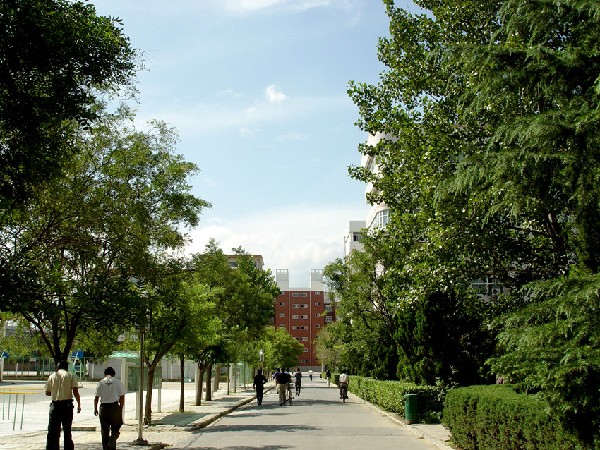 校內(nèi)道路